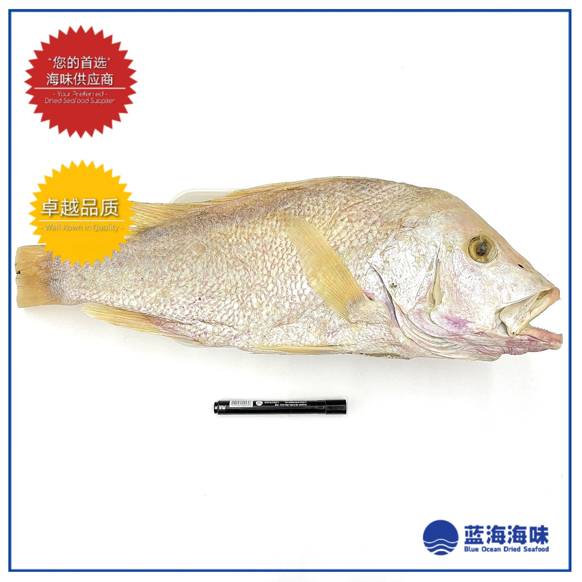 关丹梅香咸鱼 │ Kuantan Mui Heong Salted Fish │ Kuantan Ikan Masin Ikan Merah