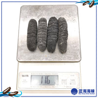 澳洲纹秃参（20-30）│ Australian Sea Cucumber (20-30)