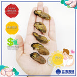 韩国蚝干（M）│ South Korean Dried Oyster (M)