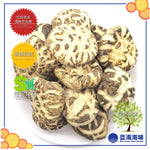 湖北仿木白花菇 │Hubei Dried White Flower Mushroom