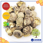 湖北仿木茶花菇 │Hubei Dried Tea Flower Mushroom