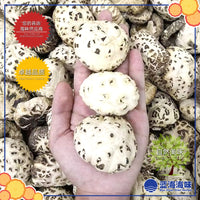 泌阳天白花菇  │Biyang Dried Sky White Flower Dried Mushroom