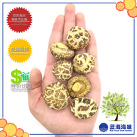 湖北仿木白花菇 │Hubei Dried White Flower Mushroom