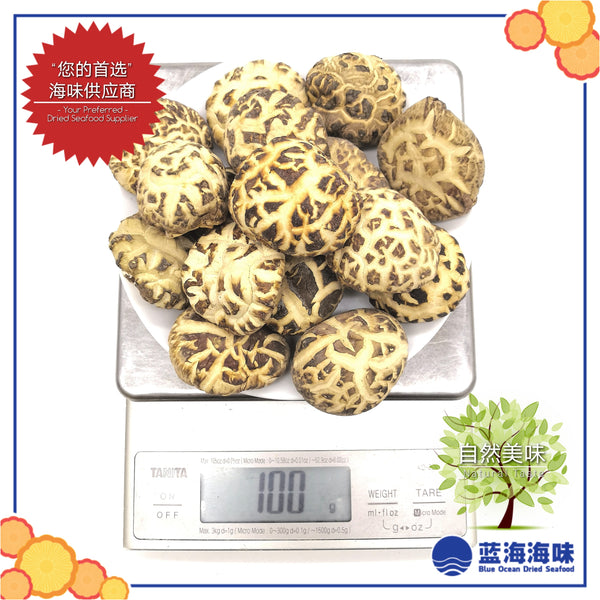 湖北仿木白花菇 │Hubei Dried White Flower Mushroom