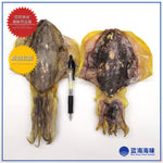 香港墨鱼干（2只）│ Hong Kong Dried Cuttlefish（2 PCs）