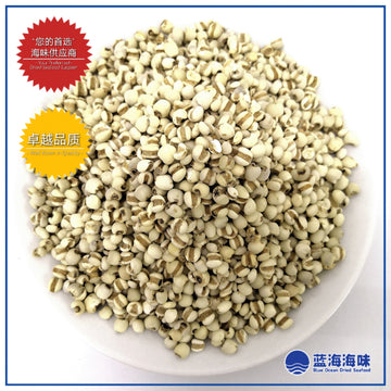 生薏米｜Coix Seeds