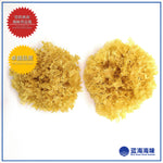 白木耳（两粒）│ White Fungus （2 pcs）