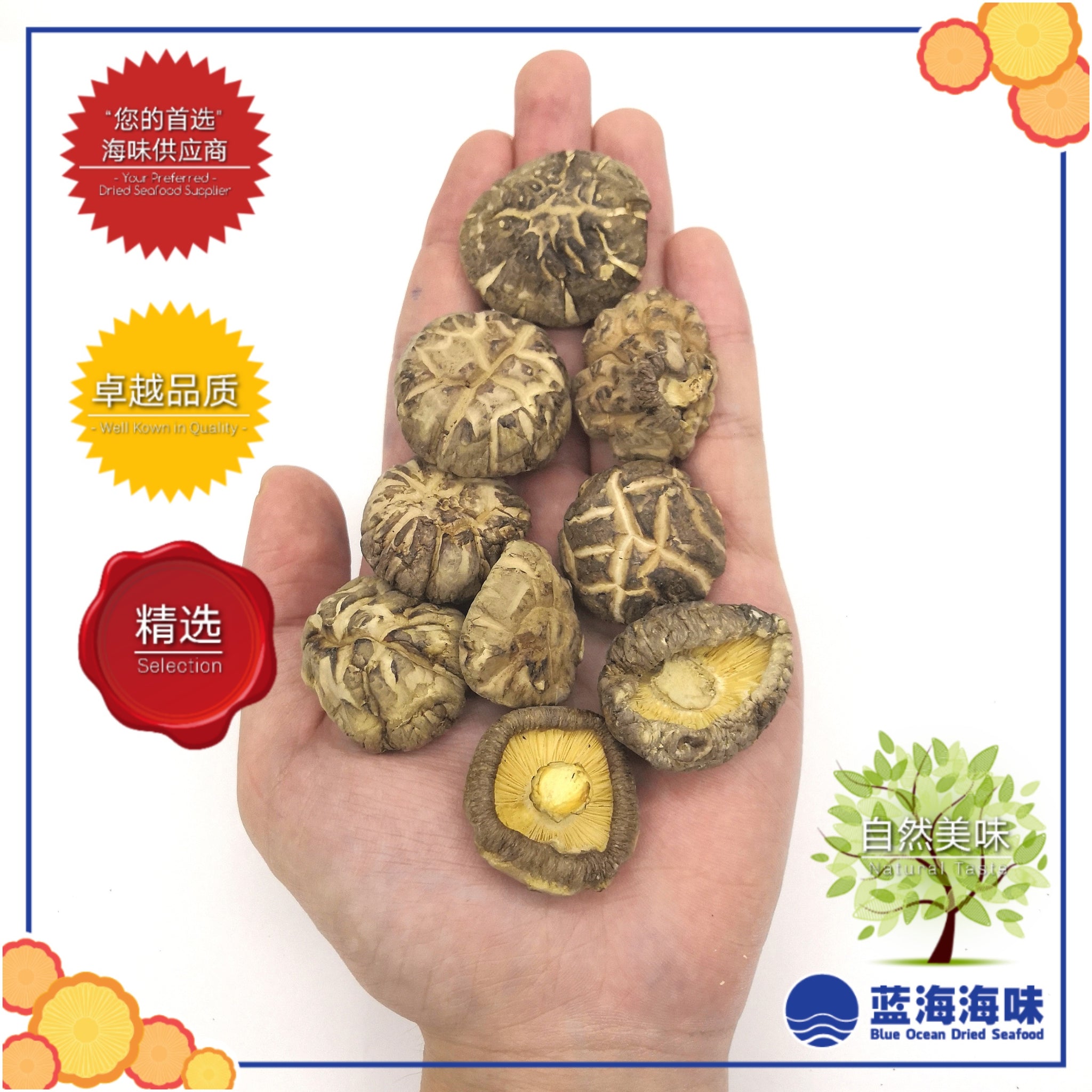 春栽茶花菇（特级） │Spring Dried Tea Flower Mushroom（Premium Grade）