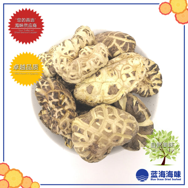 日本椴木白花菇（特级）│Japanese White Flower Mushroom（Premium Grade）