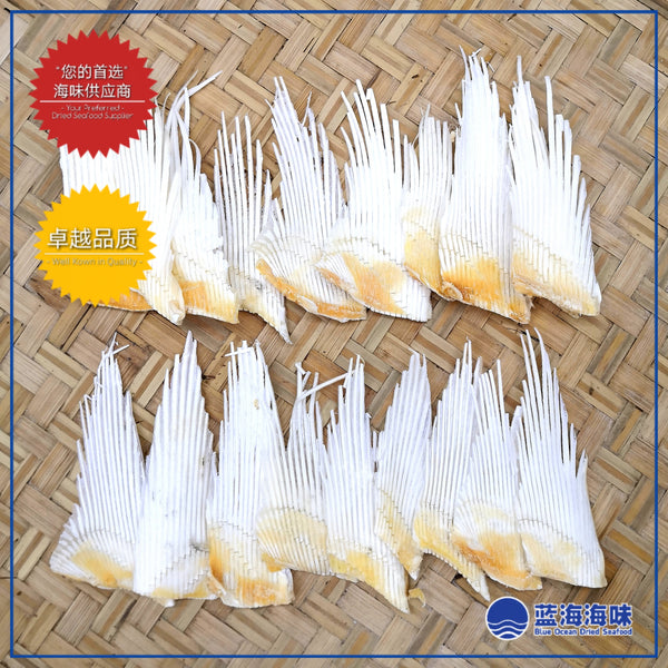 鲨鱼骨（小）100克 │ Shark Fins Bone（S）100g