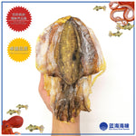 丁加奴墨鱼干 │ Terengganu Dried Cuttlefish