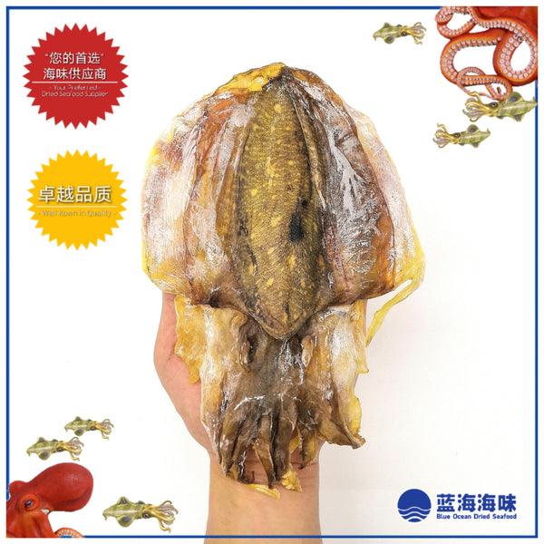 丁加奴墨鱼干 │ Terengganu Dried Cuttlefish