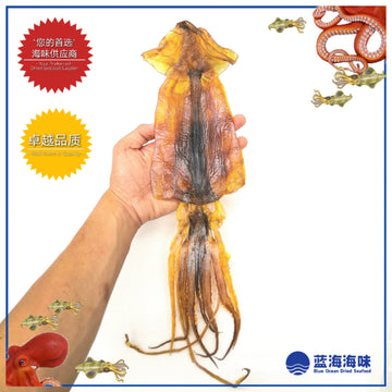 阿根廷鱿鱼干 │ Argentina Dried Squids