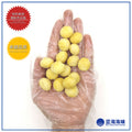 夏威夷坚果（特大） 150克 │ Macadamias（Extra Large） 150g