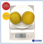 黄金罗汉果1粒 │Golden Luo Han Guo 1 pc │Golden Monk Fruit 1 pc