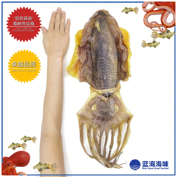 香港霸级墨鱼干 │ Hong Kong Giant Dried Cuttlefish