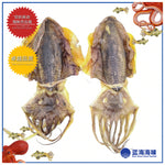 香港霸级墨鱼干 │ Hong Kong Giant Dried Cuttlefish