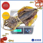 香港霸级墨鱼干 │ Hong Kong Giant Dried Cuttlefish