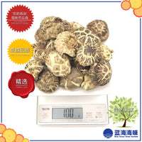 日本椴木白花菇（特级）│Japanese White Flower Mushroom（Premium Grade）