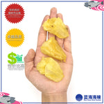 鱼胶 / 花胶（1只）│ Dried Fish Maw （1 PC）