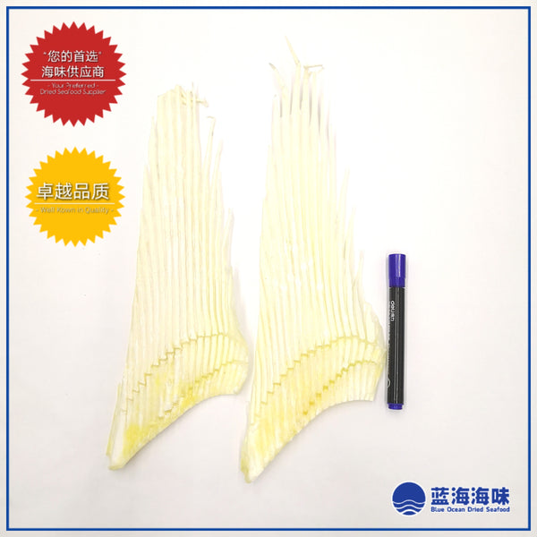 鲨鱼骨（大） │ Shark Fins Bone（Large）