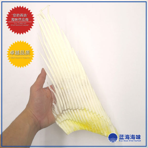 鲨鱼骨（大） │ Shark Fins Bone（Large）