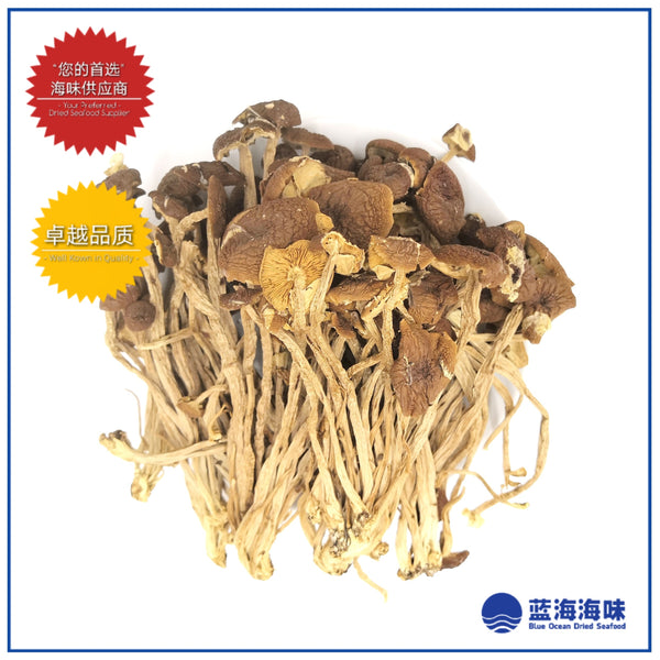 茶树菇 │Agrocybe Aegerila