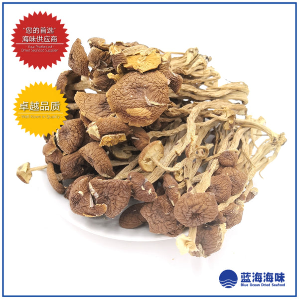 茶树菇 │Agrocybe Aegerila