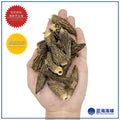 羊肚菌25克 │ Morchella Morel Mushroom 25g