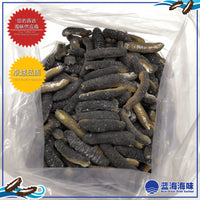 澳洲纹秃参（50-70）｜ Australian Sea Cucumber（50-70）