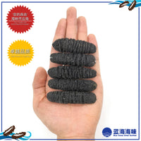 澳洲纹秃参（30-50）│ Australian Sea Cucumber（30-50）