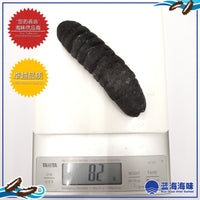 澳洲纹秃参（11-15）│ Australian Sea Cucumber（11-15）