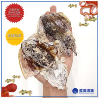 香港小墨鱼干 80克 │ Hong Kong Small Dried Cuttlefish 80G