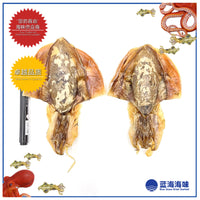 香港墨鱼干（2只）│ Hong Kong Dried Cuttlefish（2 PCs）