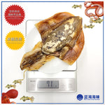 香港墨鱼干（2只）│ Hong Kong Dried Cuttlefish（2 PCs）