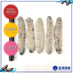 日本野生关南刺参 （大）│ Japanese Kannan Wild Sea Cucumber（L）