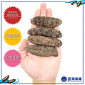 日本野生关西刺参 （大）│ Japanese Kansai Wild Sea Cucumber（L）