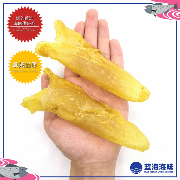 南非黄花鱼花胶筒（11-40）│ South African Dried Fish Maw (11-40)