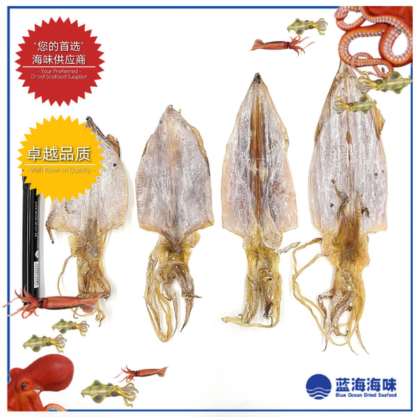 精选去皮鱿鱼干（5-8寸）│ Premium Dried Squids（5-8 Inches）