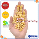 大连 / 青岛干贝（300）│ Dalian / Qingdao Dried Scallop (300)