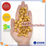 大连 / 青岛 / 越南干贝（500）│ Dalian / Qingdao / Vietnam Dried Scallop（500）