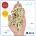 中金线江鱼仔（ 3A级）│ Dried  Anchovies（3A）│ Ikan Bilis Jalur Emas（3A Gred）