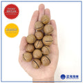 澳大利亚烤夏威夷果  │ Australian Macadamia Nuts