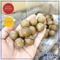 澳大利亚烤夏威夷果  │ Australian Macadamia Nuts