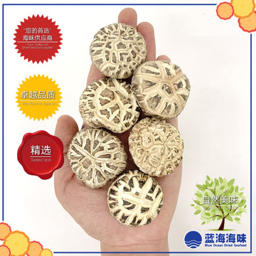 春栽白花花菇（特级） │Spring Dried White Flower Mushroom（Premium Grade）