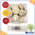 春栽白花花菇（特级） │Spring Dried White Flower Mushroom（Premium Grade）