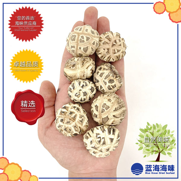 春栽白花花菇（特级） │Spring Dried White Flower Mushroom（Premium Grade）