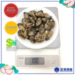 蚝干（M）│ Dried Oyster（M）