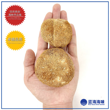 特级猴头菇100克 │ Lion's Mane Mushroom 100g