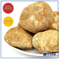 特级猴头菇100克 │ Lion's Mane Mushroom 100g